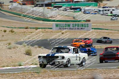 media/May-07-2022-Cobra Owners Club of America (Sat) [[e681d2ddb7]]/Blue/Session 3 (Turn 3)/